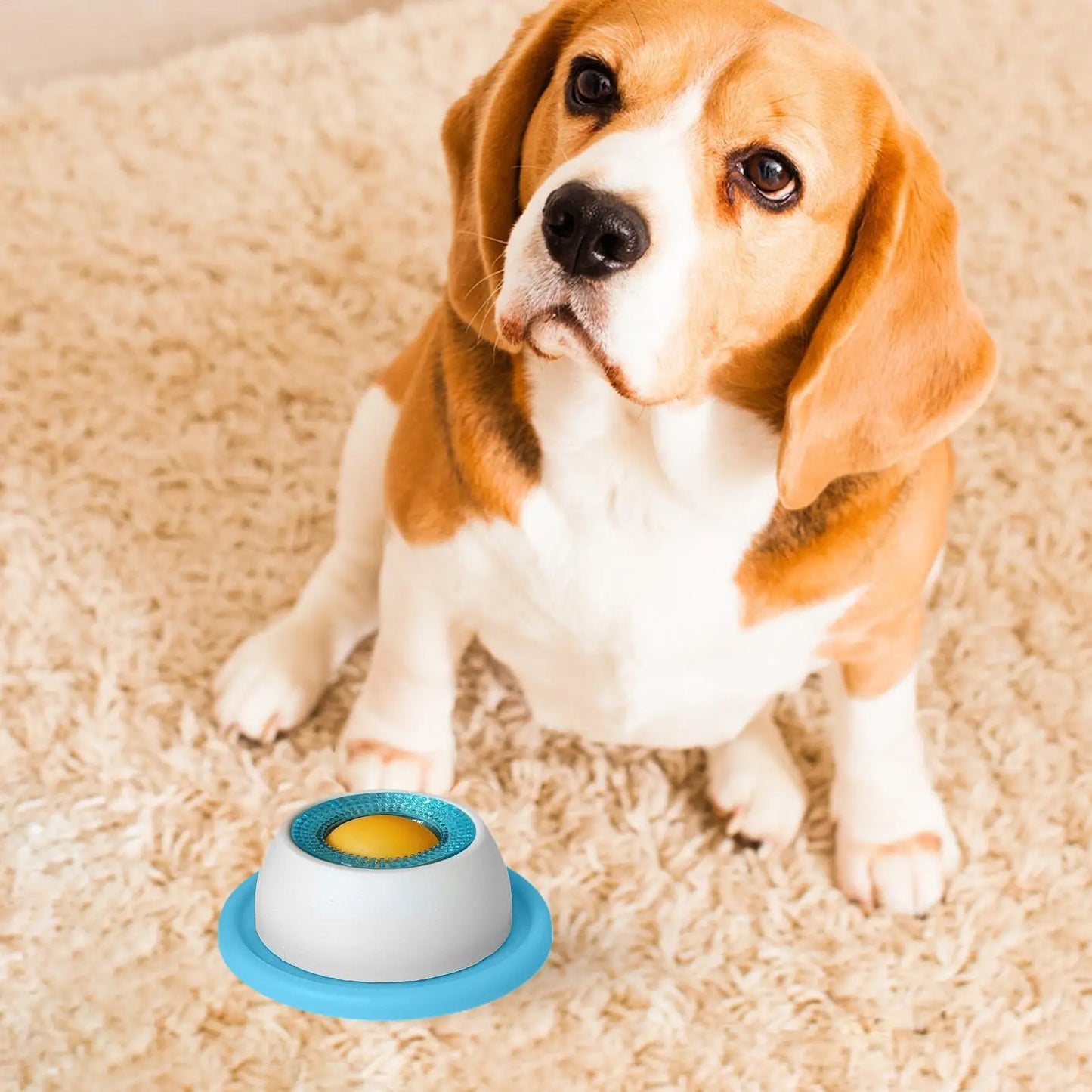 Slow Feeder Lick Bowl for Cats & Dogs