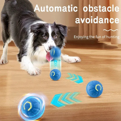 Intelligent Auto-Moving Jump Ball Toy