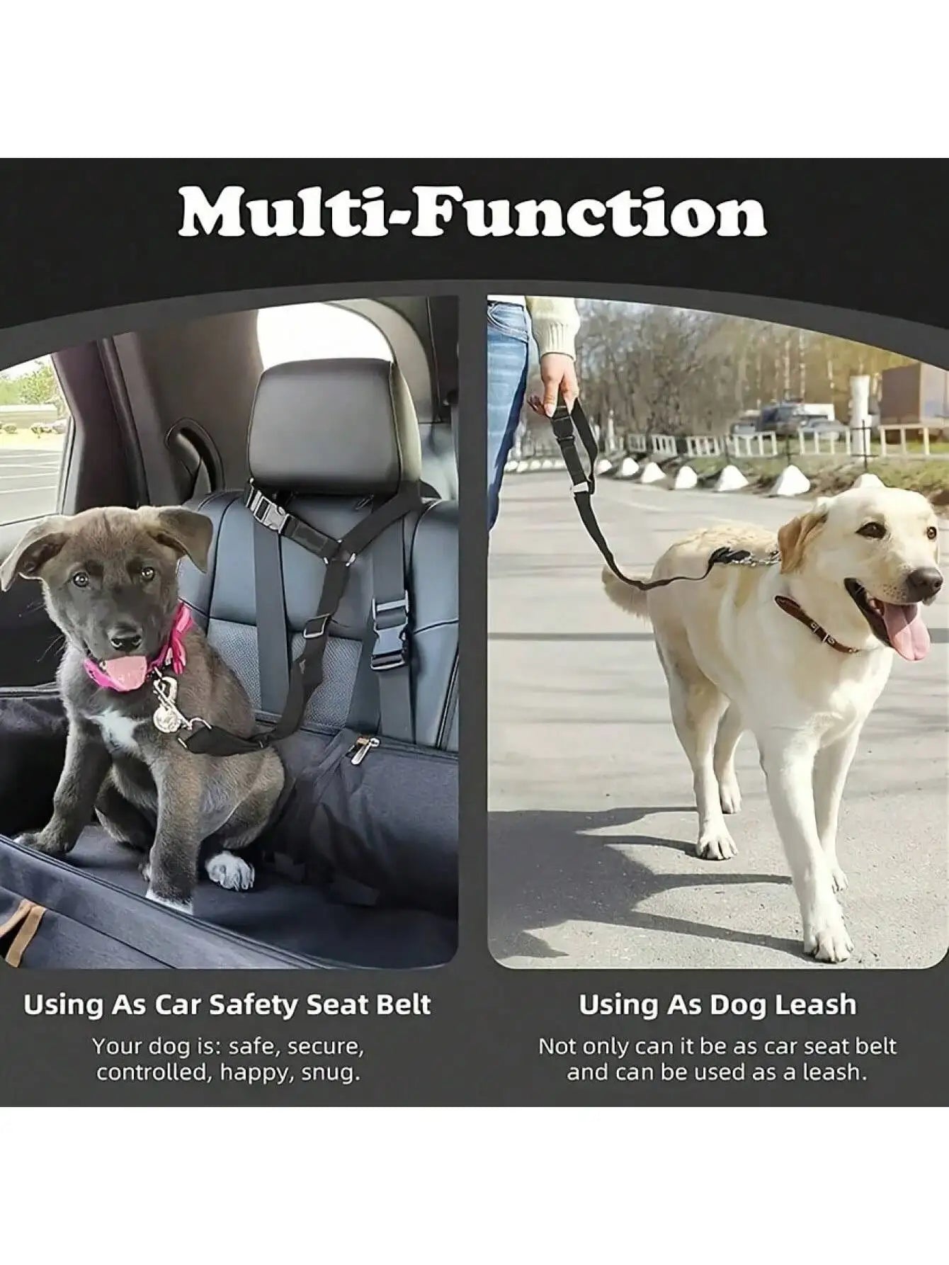 Dog Seat Belt