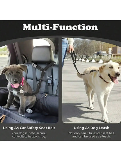 Dog Seat Belt