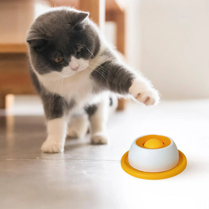 Slow Feeder Lick Bowl for Cats & Dogs