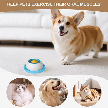 Slow Feeder Lick Bowl for Cats & Dogs