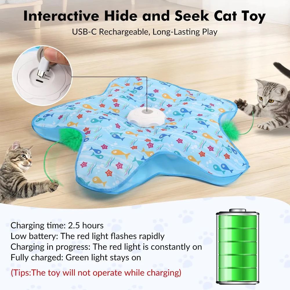 Interactive Hide and Seek Toy
