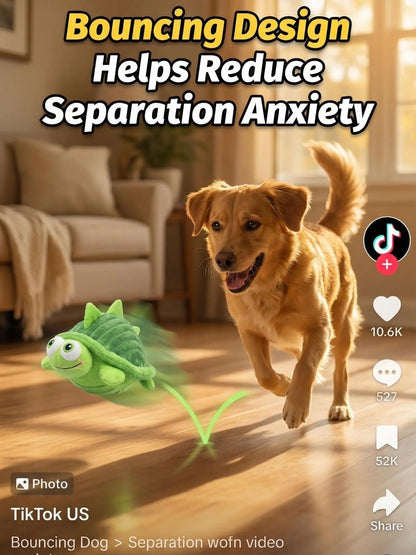 Interactive Dog Ball 