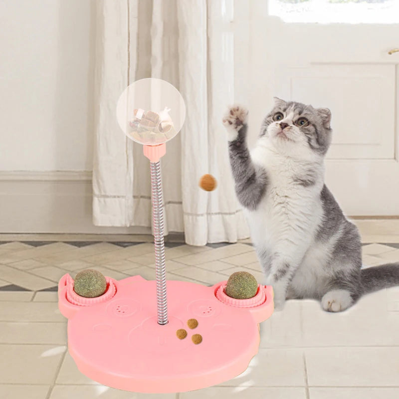 Pet Puzzle Food Ball Toy
